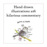 Field Guide to Dumb Birds of the World