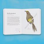 Field Guide to Dumb Birds of the World