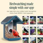 Smart Bird Feeder with Camera and AI Identification