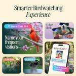 Smart Bird Feeder with Camera and AI Identification