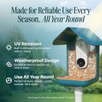 Smart Bird Feeder with Camera and AI Identification