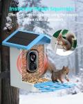 isYoung Smart Bird Feeder with Camera and AI
