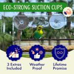 Nature's Hangout Window Bird Feeder with Suction Cups