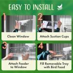 Nature's Hangout Window Bird Feeder with Suction Cups