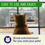 Nature's Hangout Window Bird Feeder with Suction Cups