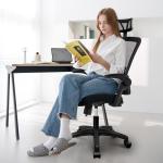 NEO CHAIR Ergonomic High Back Mesh Office Chair