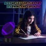 3D Football Illusion Night Light Desk Lamp