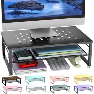 Gianotter 2-Tier Metal Monitor Stand and Organizer
