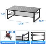 Gianotter 2-Tier Metal Monitor Stand and Organizer