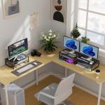 Gianotter 2-Tier Metal Monitor Stand and Organizer