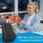 Lumbar Support Pillow for Office and Car