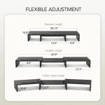 Dual Monitor Stand Riser with Desktop Organizer
