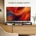 Dual Monitor Stand Riser with Desktop Organizer