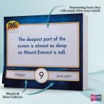 2026 Trivia Desk Calendar with Bizarre Facts