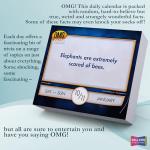 2026 Trivia Desk Calendar with Bizarre Facts