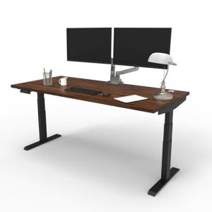 Electric Standing Desk 60x30 with USB Charging