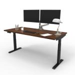 Electric Standing Desk 60x30 with USB Charging