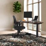 Electric Standing Desk 60x30 with USB Charging