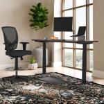 Electric Standing Desk 60x30 with USB Charging