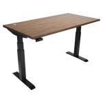 Electric Standing Desk 60x30 with USB Charging