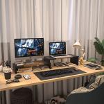 Adjustable Dual Monitor Stand with Organizer Shelves