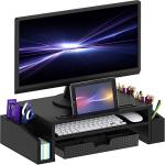 Adjustable Black Desk Monitor Stand with Organizer