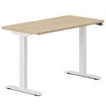 36-Inch Adjustable Standing Desk with OLED Control