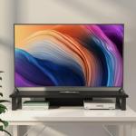 Dual Monitor Stand Riser with Storage Organizer