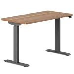 Adjustable 36-Inch Standing Desk with OLED Control