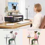 OPNICE 2-Tier Desk Organizer with Monitor Stand