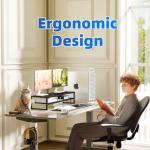 Metal Dual Monitor Stand with Mouse Pad Organizer