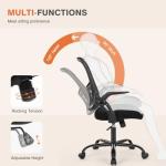 Ergonomic Mesh Office Chair with Lumbar Support