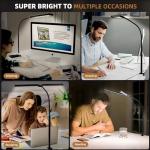 Adjustable LED Desk Lamp with Clamp and Gooseneck