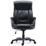 Ergonomic Big & Tall Office Chair in Black