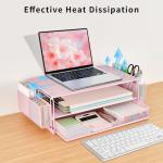 AUPSEN Pink Dual-Tier Monitor Stand and Organizer