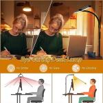 Macasa LED Desk Lamp with Remote Control