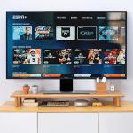 Bamboo Dual Monitor Shelf with Storage Solution