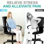 Office Chair Seat Cushion with Lumbar Support