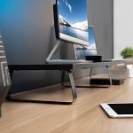 VIVO 55-Inch Dual Monitor Stand and Organizer