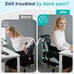 Comfortable Lumbar Support Cushion for Office & Car