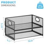 Marbrasse 2-Tier Mesh Paper Organizer for Home Office