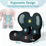 Ergonomic Seat Cushion with Lumbar Support Pillow