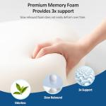 Memory Foam Seat Cushion & Lumbar Support Pillow