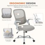 Sweetcrispy Ergonomic Adjustable Office Chair with Lumbar Support