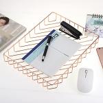BTSKY Elegant A4 Wire Desk Tray Organizer