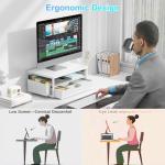 Matte White 2-Tier Wood Monitor Stand