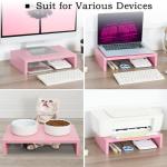 TEAMIX Pink Adjustable Dual Monitor Stand Riser Set