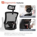 NEO CHAIR Ergonomic High Back Mesh Office Chair