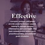 Curcumin Turmeric Complex with Ginger and Pine Bark