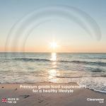 Organic Curcumin 95 Capsules with Black Pepper